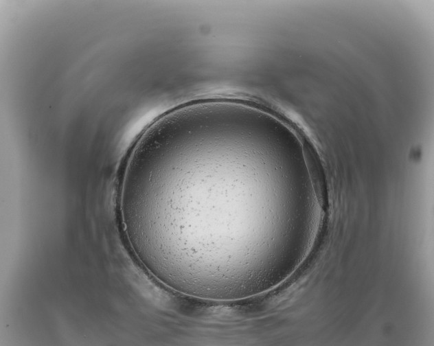 X0000089361463200706221149