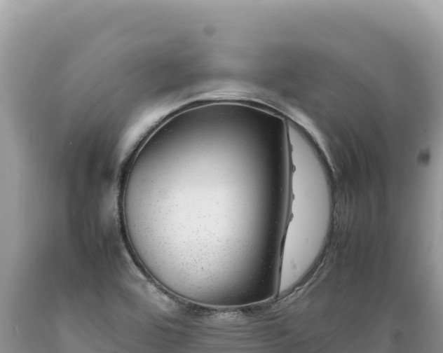 X0000089361464200706221149