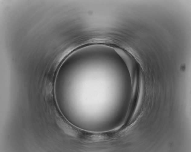 X0000089361465200706221149