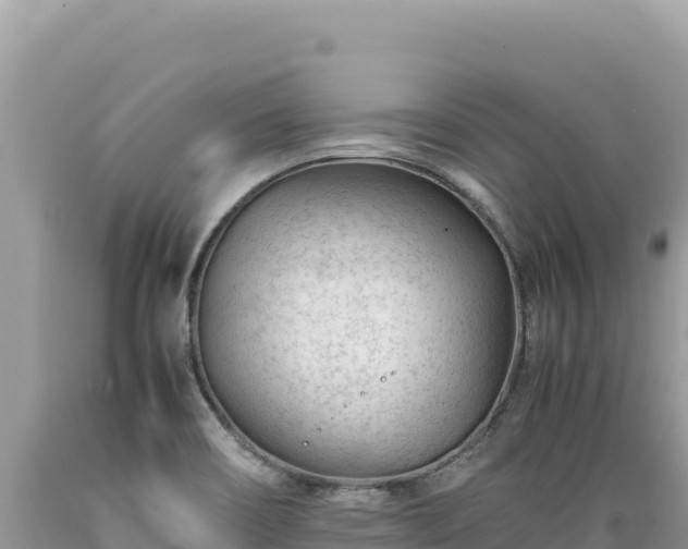 X0000089361466200706221149