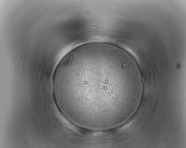 X0000089361467200706221149