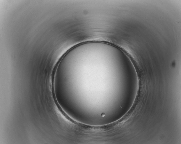 X0000089361468200706221149