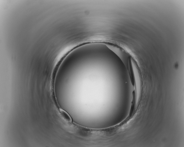 X0000089361469200706221149
