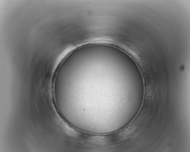 X0000089361470200706221149