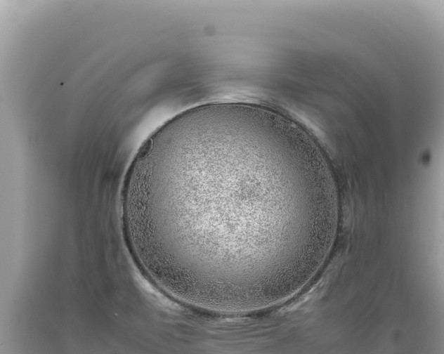 X0000089361471200706221149
