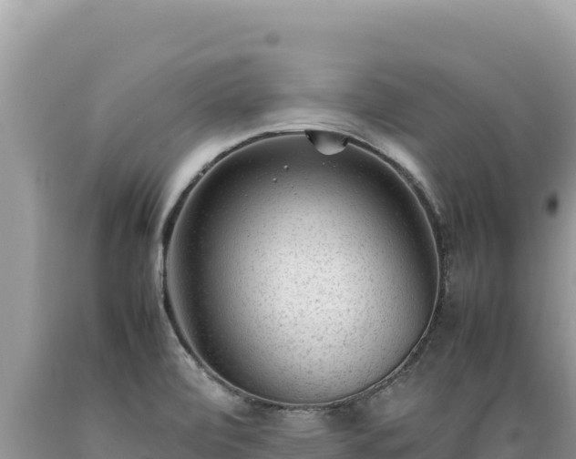 X0000089361472200706221149