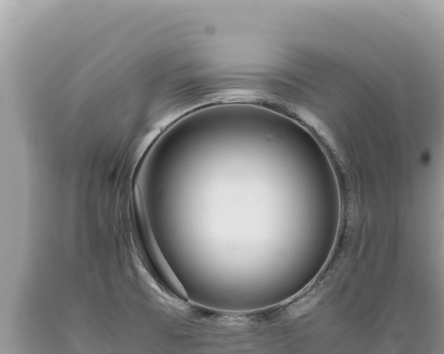 X0000089361473200706221149