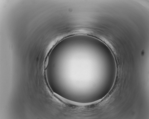 X0000089361477200706221149