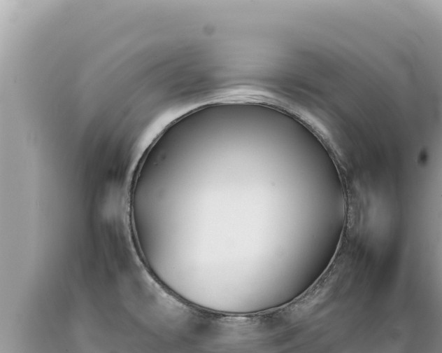 X0000089361478200706221149