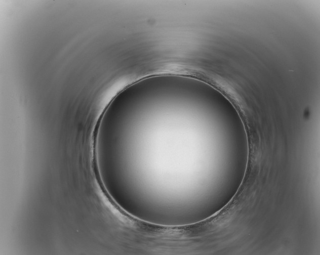X0000089361479200706221149