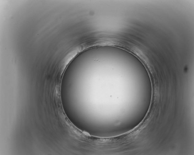 X0000089361481200706221149