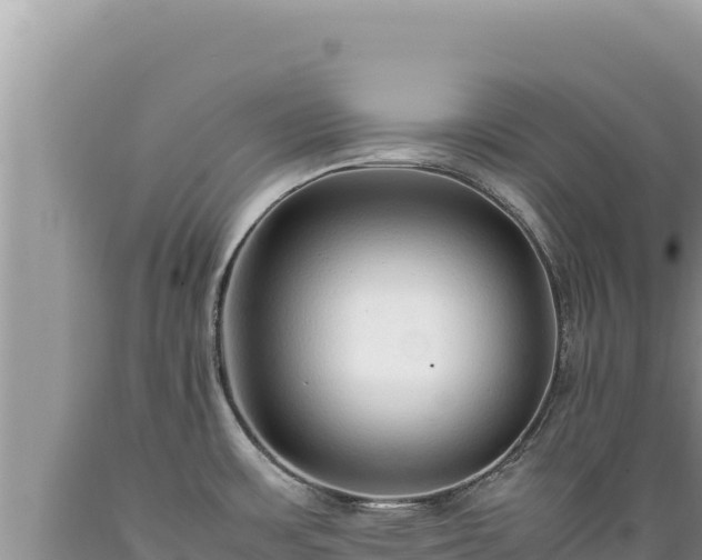 X0000089361483200706221149
