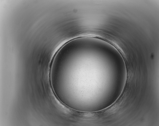 X0000089361484200706221149