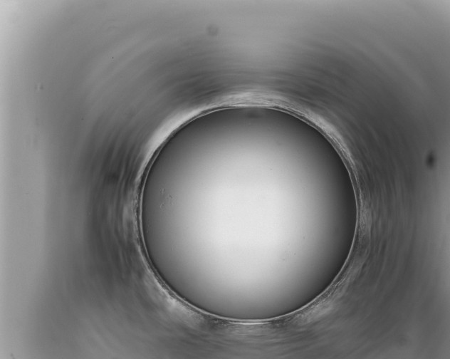 X0000089361486200706221149