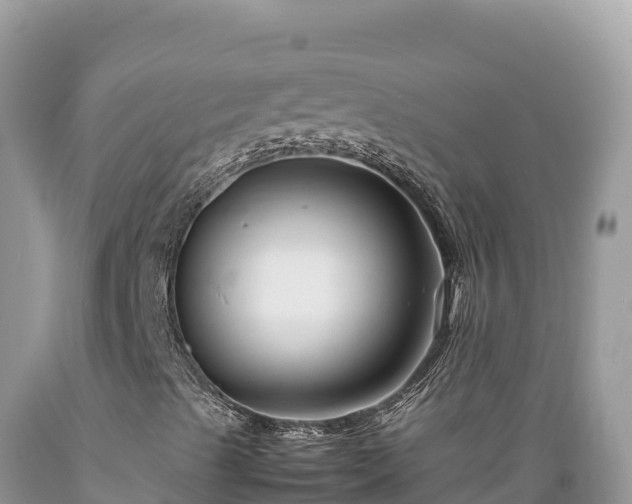 X0000089361489200706221148