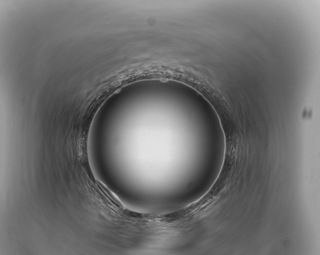 X0000089361490200706221148