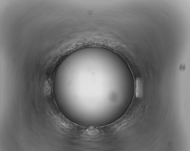 X0000089361491200706221148