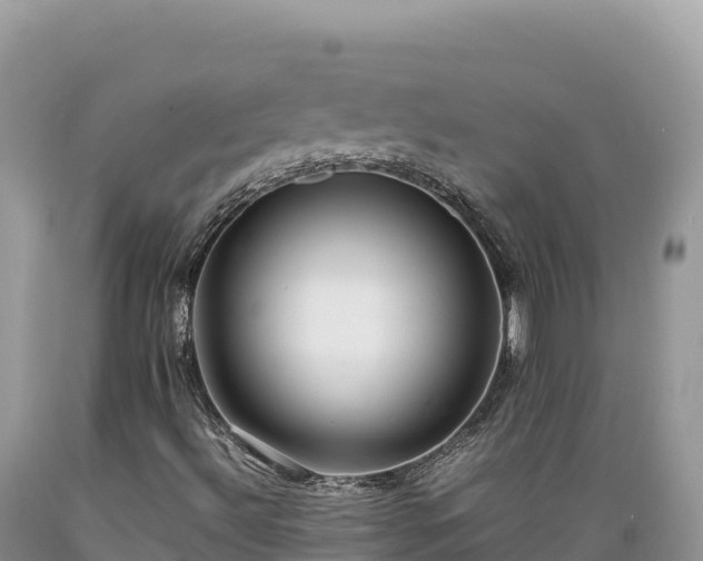 X0000089361492200706221148
