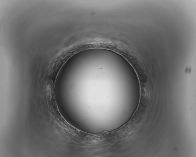 X0000089361493200706221148