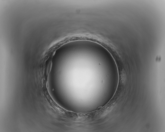 X0000089361494200706221148