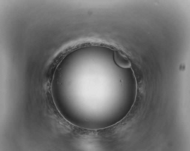 X0000089361495200706221148