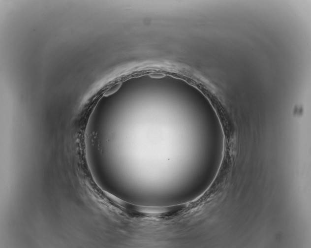 X0000089361496200706221148