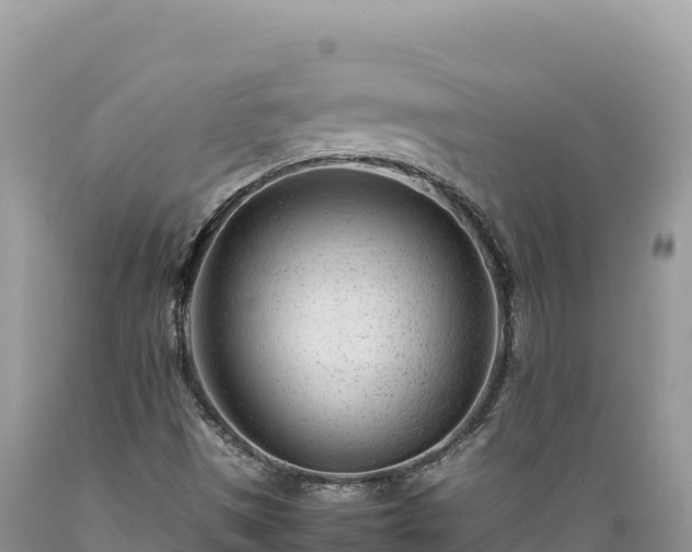 X0000089361497200706221148