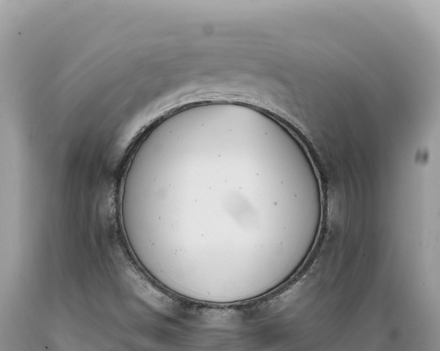 X0000089361498200706221148