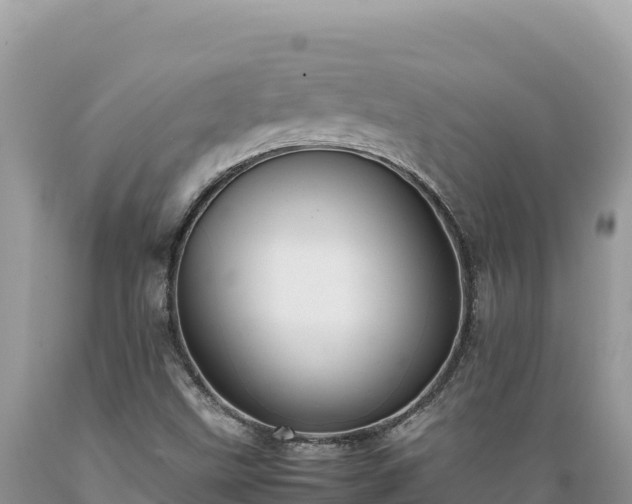 X0000089361499200706221148