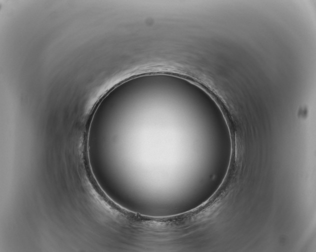 X0000089361500200706221148