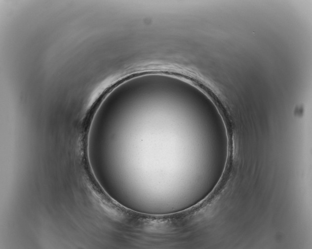 X0000089361501200706221148