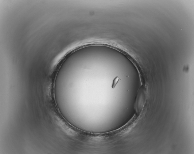 X0000089361502200706221148