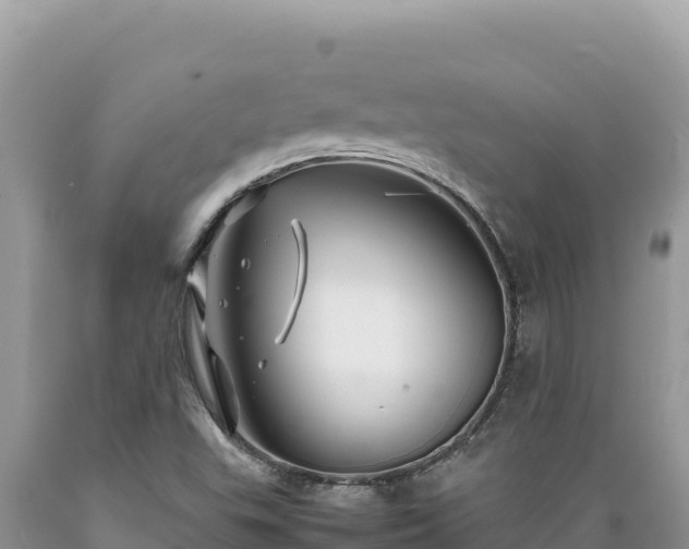 X0000089361503200706221148