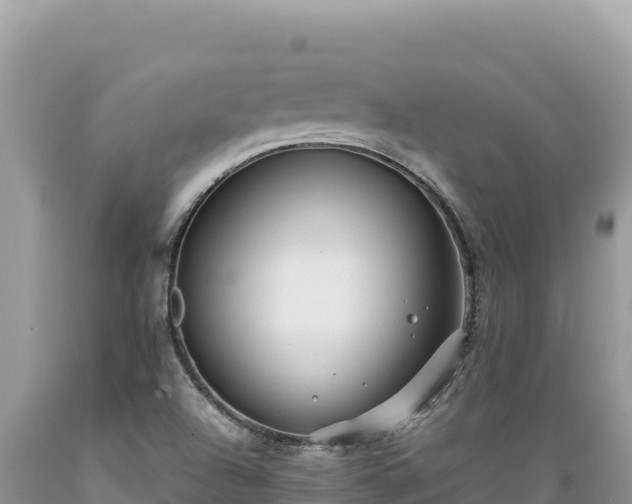 X0000089361504200706221149