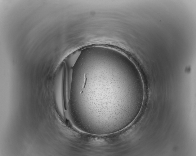 X0000089361505200706221149