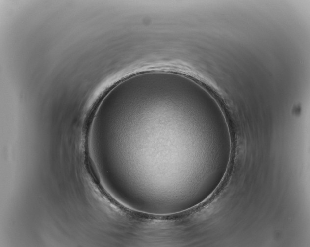 X0000089361506200706221149