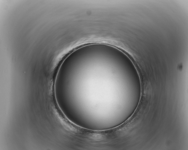 X0000089361507200706221149