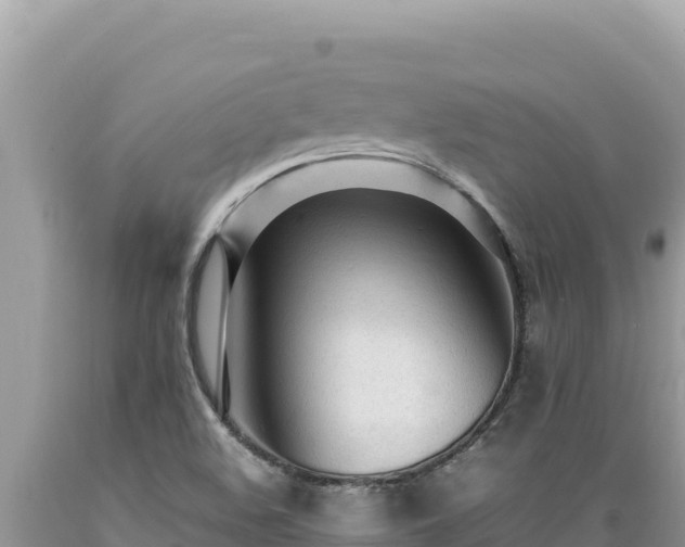X0000089361508200706221149