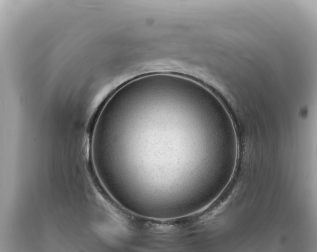 X0000089361509200706221149