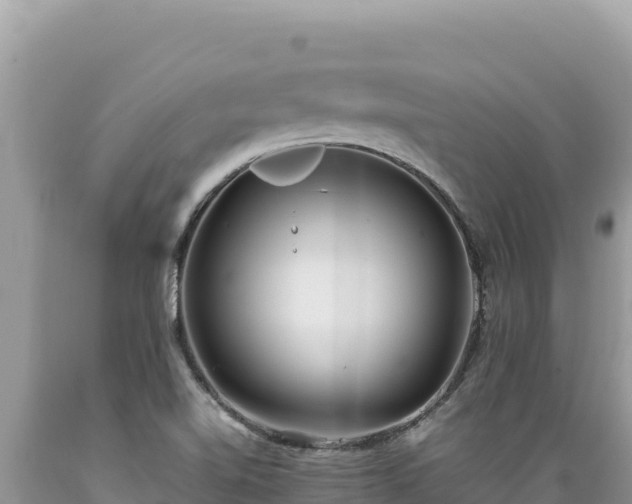 X0000089361510200706221149