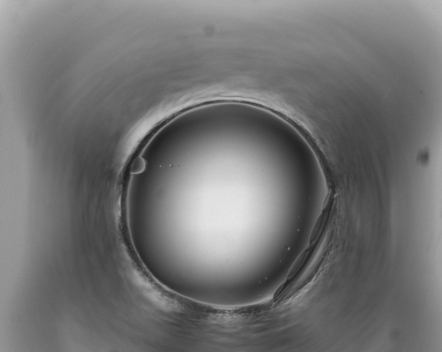 X0000089361511200706221149