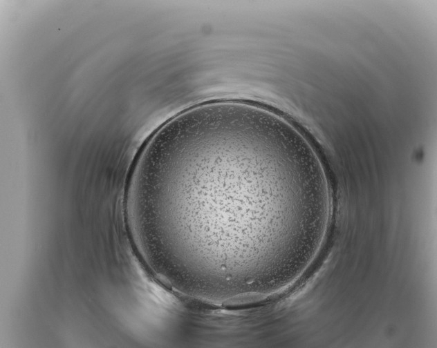 X0000089361513200706221149