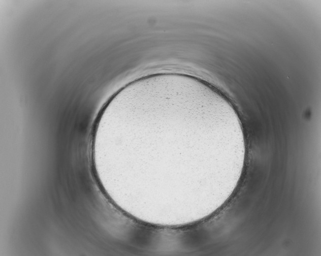 X0000089361514200706221149