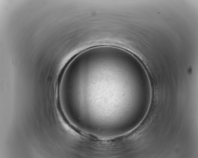X0000089361515200706221149