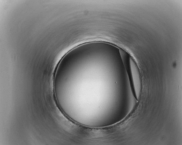 X0000089361516200706221149