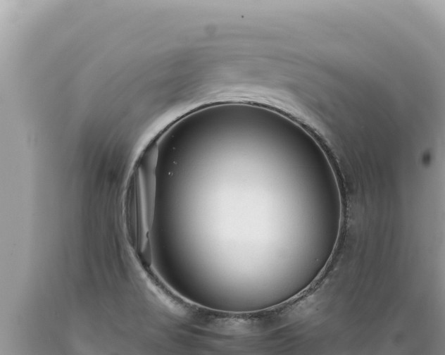 X0000089361517200706221149