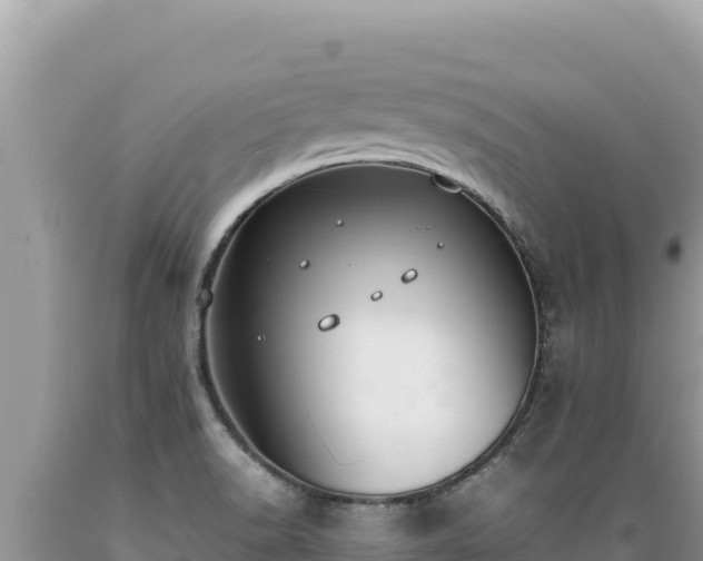 X0000089361518200706221149