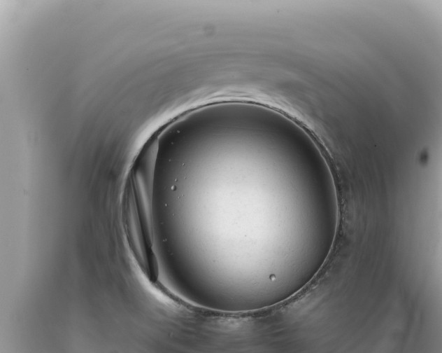 X0000089361519200706221149