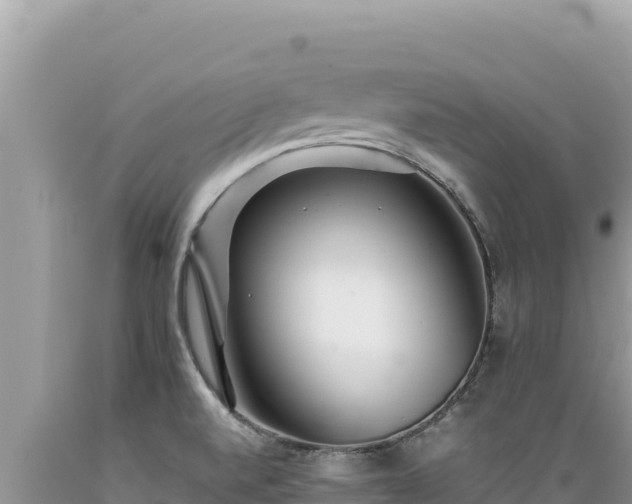 X0000089361520200706221149