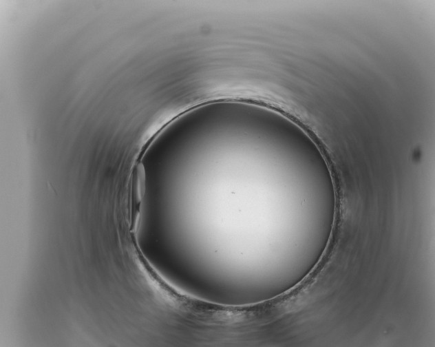 X0000089361521200706221149